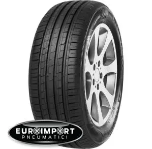 Minerva F 209 215/55 R16 97 W XL  TL